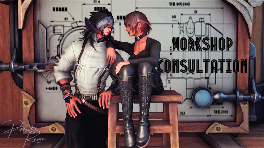 Workshop Consultation